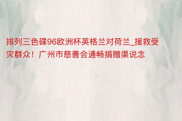 排列三色碟96欧洲杯英格兰对荷兰_援救受灾群众！广州市慈善会通畅捐赠渠说念